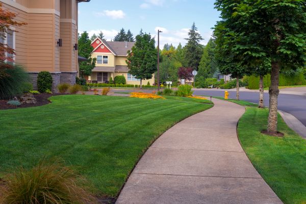 Cost of Sidewalk Patching in Durham